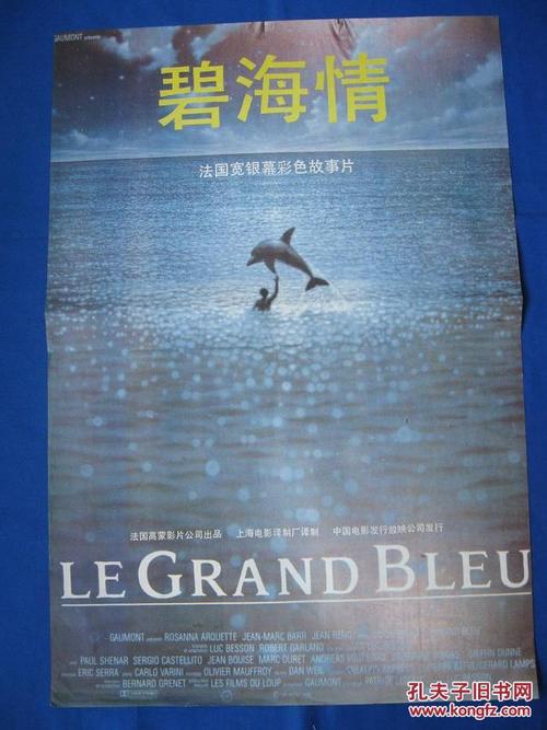 中国驾驶证假的多少钱
